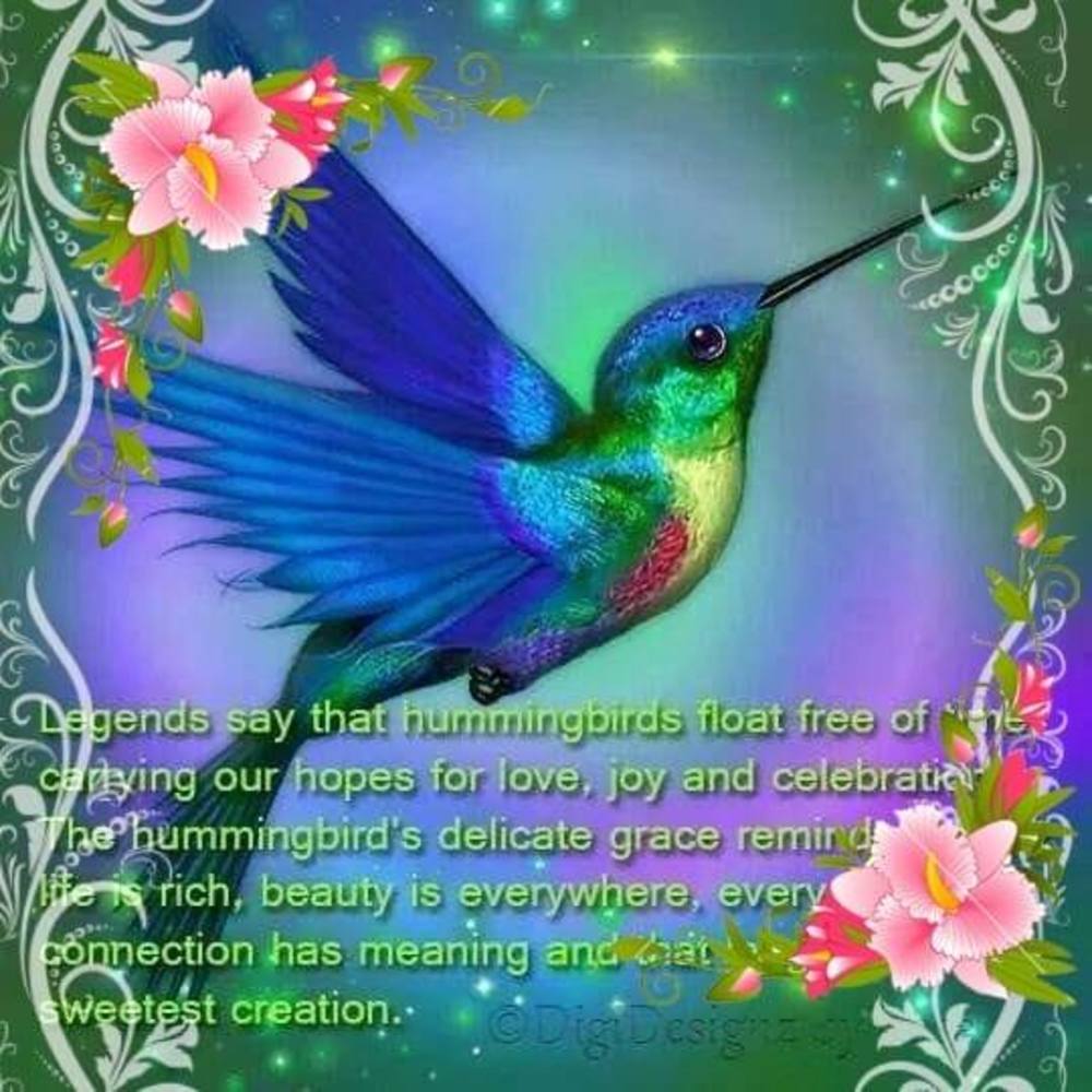 Meet your Posher, Arlene